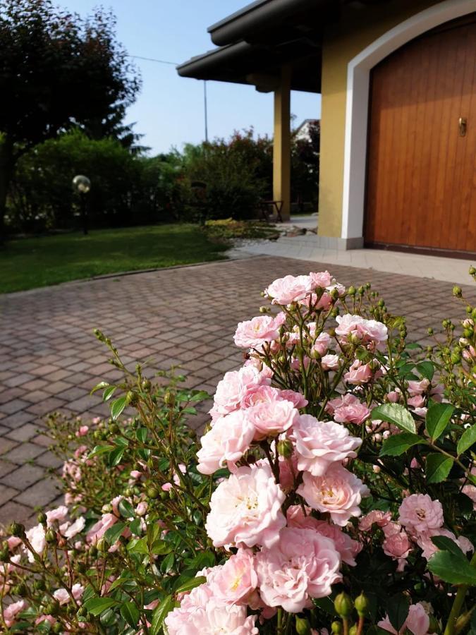 Residence Stradella Verde Staranzano Luaran gambar